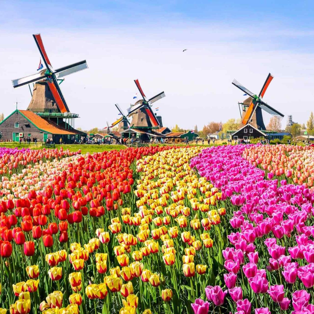 https://www.greatgreecetours.gr/wp-content/uploads/2018/09/destination-netherlands-01-1280x1280.jpg
